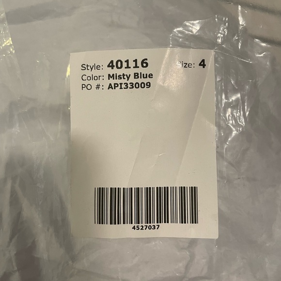 Adrianna Papell Platinum Bridesmaid Dress/ Prom Dress - Picture 2 of 4